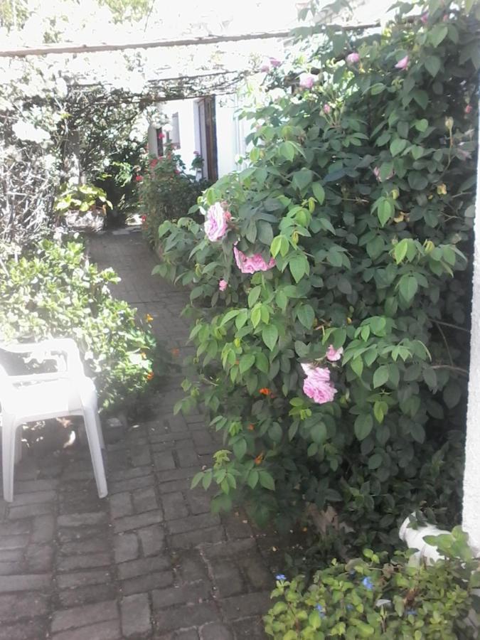 Self Catering Unit 7, Sandbaai Hermanus Exterior foto